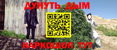 apvp Можга