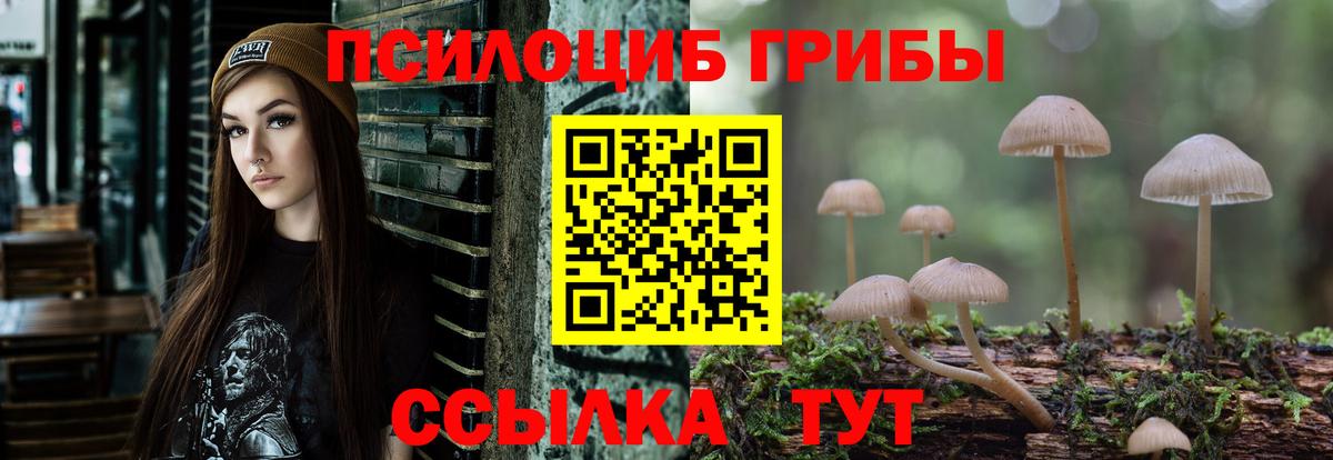 Галлюциногенные грибы MAGIC MUSHROOMS  Вход с VPN  Усинск 